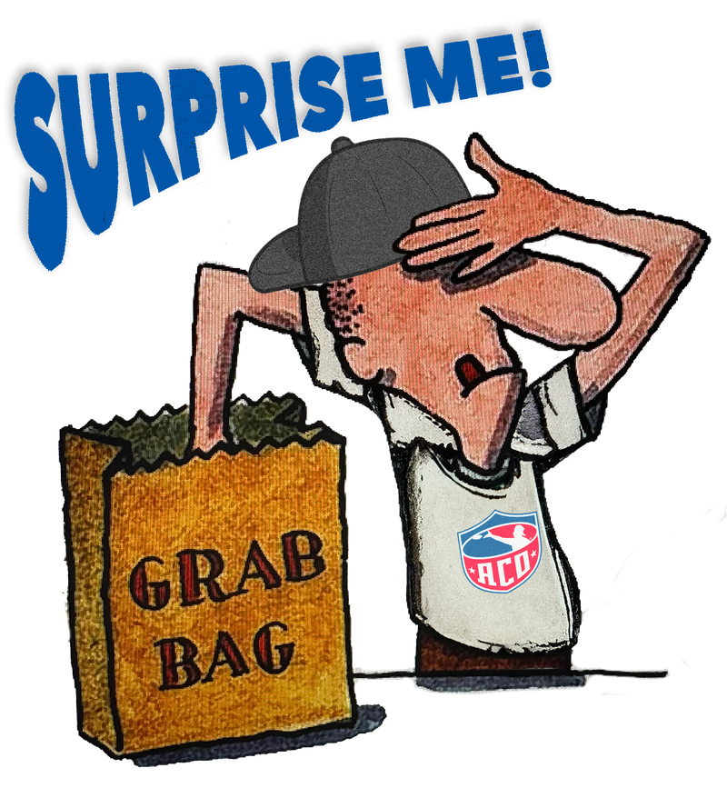 ACO Bags - Mystery Grab Bag